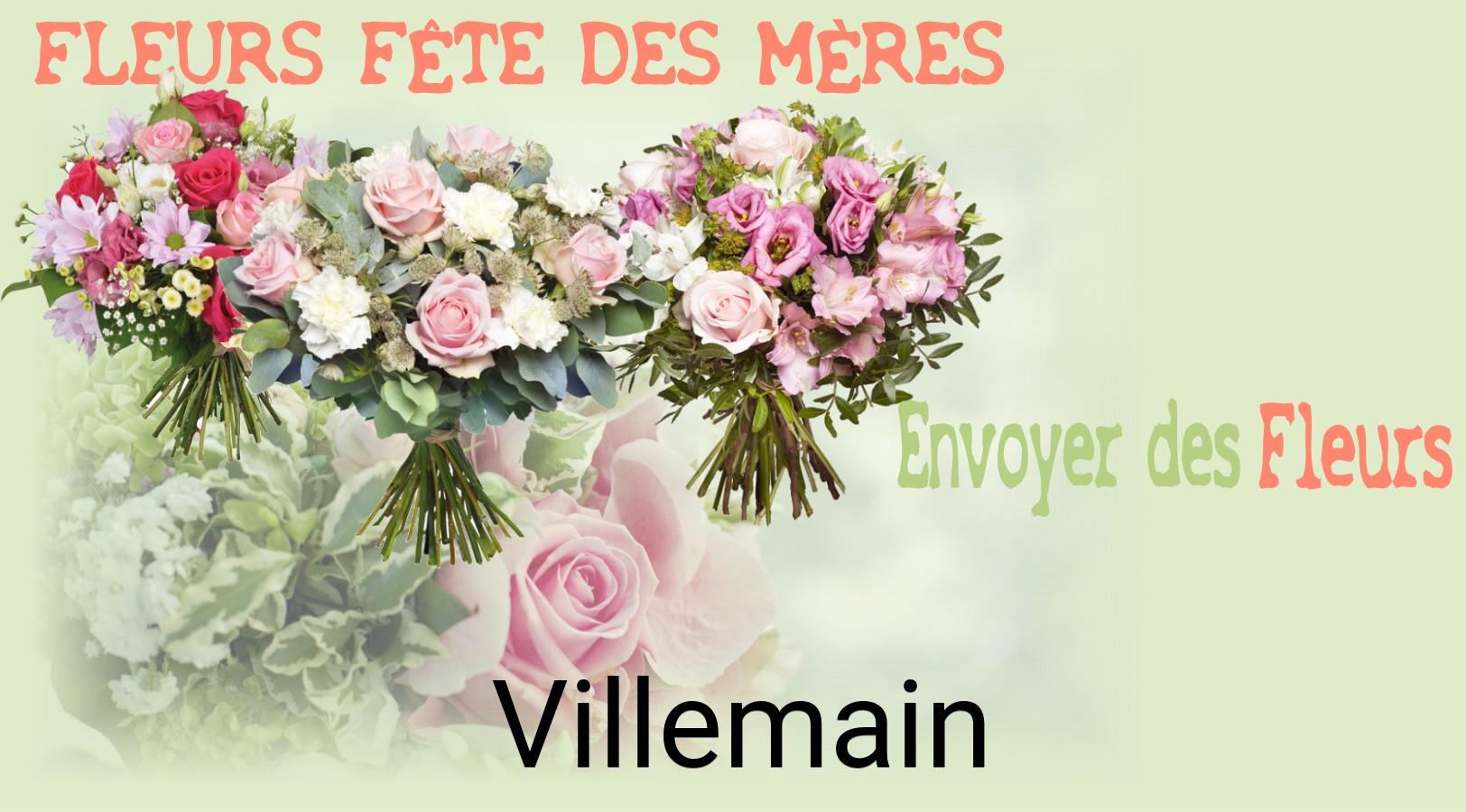 Bouquet de Fête des Mères livré à Villemain